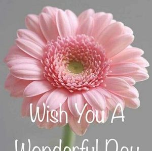 Meet your Posher, Frances